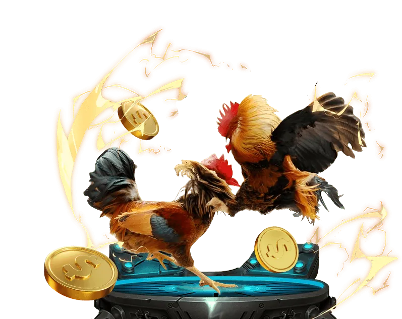 Ưu điểm nổi bật của sodo19 đá gà